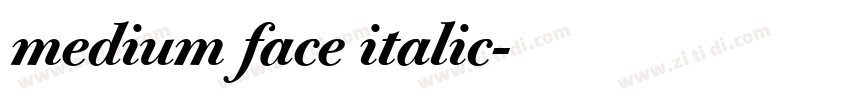 medium face italic字体转换